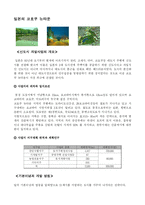 [도시행정론] 도시행정론(외국의 신도시)-8