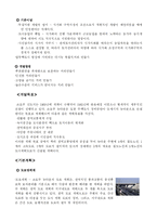 [도시행정론] 도시행정론(외국의 신도시)-9