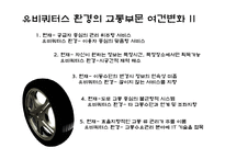 [뉴미디어] 유비쿼터스와 교통환경-8