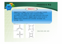 [정보관리론] 차세대 컴퓨터의 종류와 발전방향-13