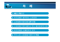 [브랜드마케팅] [브랜드마케팅]PB(소매업체브랜드)의 개요 및 현황보고서-2