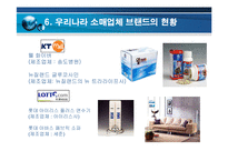 [브랜드마케팅] [브랜드마케팅]PB(소매업체브랜드)의 개요 및 현황보고서-17