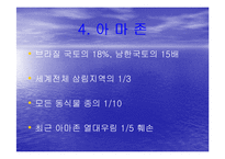 [여행,축제,브라질,삼바,리우데자네이루] 브라질의 명소와 삼바축제-17