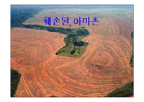 [여행,축제,브라질,삼바,리우데자네이루] 브라질의 명소와 삼바축제-19