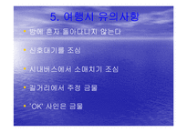 [여행,축제,브라질,삼바,리우데자네이루] 브라질의 명소와 삼바축제-20