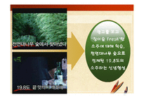 [광고기법분석, 마케팅] 참이슬 광고에 관한 광고기법 분석-11