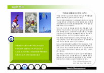 [스포츠경영] NEXFree의 경영전략 - 레포츠시장에서 넥스프리의 발전방안-16
