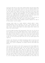 [유럽연구]독일의 교육제도에 관한 조사-3