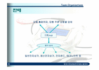 [국제경영] 레인콤의 mp3 아이리버 해외진출사례-9