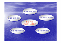 [국제경영] 한국타이어 중국시장진출-9