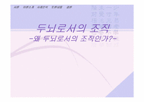 [조직행동론]두뇌로서의 조직에 관한 이해-1