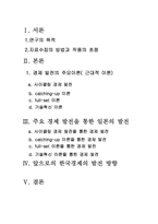 [일본경제] 일본의 경제발전 주요이론 분석-2