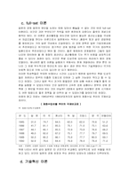 [일본경제] 일본의 경제발전 주요이론 분석-6