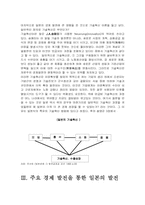 [일본경제] 일본의 경제발전 주요이론 분석-7
