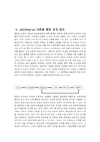 [일본경제] 일본의 경제발전 주요이론 분석-9