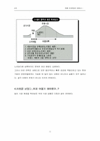 [마케팅전략] 캐즘마케팅과 사례-11