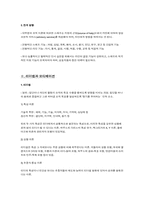 매니지먼트 프로세스 관리-7