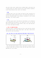 [마케팅전략] 콜라 독립 815 마케팅전략-11