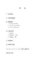 [마케팅전략] OB맥주의 1위 탈환을 위한 마케팅전략-2