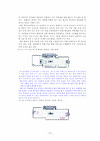 [마케팅] 압구정 갤러리아백화점- 명품점과 패션점의 비교분석-3