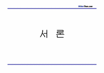 [경영전략] 와이더덴닷컴 경영전략분석- 잼버거-3