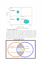 [경영전략] 에밀레정보통신의 경영전략-7