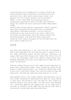 [인터넷문화]컴퓨터통신과 인터넷-4