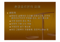 [환경호르몬]Case Study(시례학습) - 환경호르몬에 대하여-7