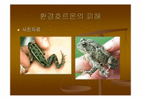 [환경호르몬]Case Study(시례학습) - 환경호르몬에 대하여-8