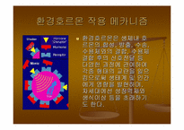 [환경호르몬]Case Study(시례학습) - 환경호르몬에 대하여-10