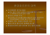 [환경호르몬]Case Study(시례학습) - 환경호르몬에 대하여-12