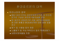 [환경호르몬]Case Study(시례학습) - 환경호르몬에 대하여-15