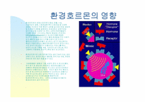 [환경호르몬]사례학습 - 환경호르몬의 정의-4