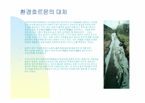 [환경호르몬]사례학습 - 환경호르몬의 정의-9