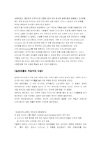 [국제기업환경론] 유로디즈니의 실패를 해결하기 위한 전략-5