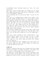 [국제기업] 스타벅스 마케팅전략과 성공요인분석-11