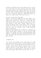 [국제기업] 스타벅스 마케팅전략과 성공요인분석-13