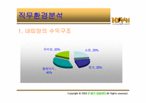 [인터넷비즈니스] www.netian.com 네띠앙 경영전략 분석-8