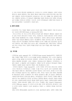 [복지정책]21세기 사회복지정책이론-5