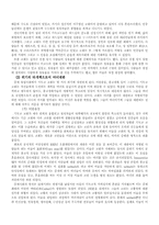 [종교학]성인과 마녀에 관한 논의-7