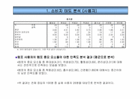 [소비자행동분석]템포광고에 대한 소비자태도 및 분석-8