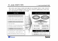 [마케팅분석]SK텔레콤의 `준(June)`의 마케팅전략분석-7