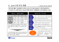 [마케팅분석]SK텔레콤의 `준(June)`의 마케팅전략분석-9