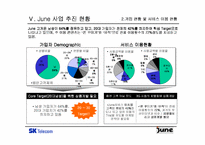[마케팅분석]SK텔레콤의 `준(June)`의 마케팅전략분석-10