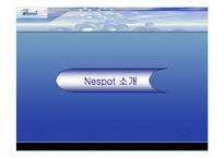 [마케팅분석]KT의 무선인터넷 네스팟(Nespot)의 마케팅전략분석 및 대안-10