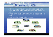 [마케팅분석]KT의 무선인터넷 네스팟(Nespot)의 마케팅전략분석 및 대안-11