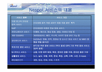 [마케팅분석]KT의 무선인터넷 네스팟(Nespot)의 마케팅전략분석 및 대안-17