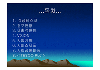 [기업분석]삼성테스코 홈플러스에 관한 조사자료-2