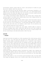 [국제마케팅](주)대상 `미원` 인도네시아 진출의 성공요인 및 문제점-8