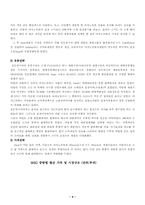 [국제마케팅](주)대상 `미원` 인도네시아 진출의 성공요인 및 문제점-9